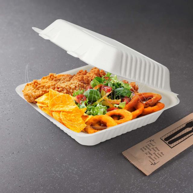 Menu box (cukrová třtina) nedělený 224 x 201 x 78 mm 1100ml [50 ks]